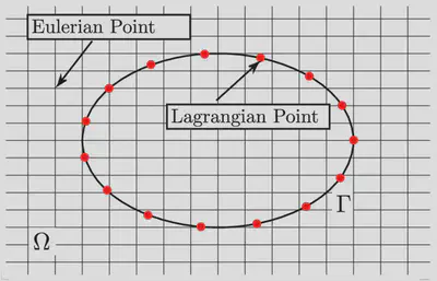 A description of the IBM approach where the fluid is on the Eulerian grid while the solid surface is immersed using several Lagrangian points